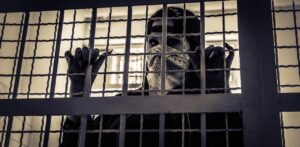 浮気の尾行は違法で逮捕される可能性があるのか？