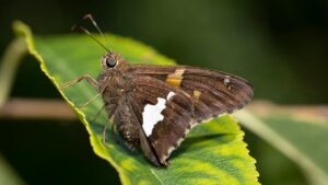 不倫がバレる証拠は本当にないのか？