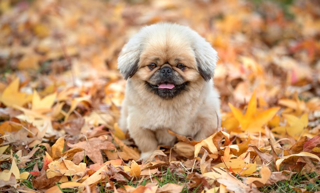 不貞行為の証拠として何が重要か知っていますか？