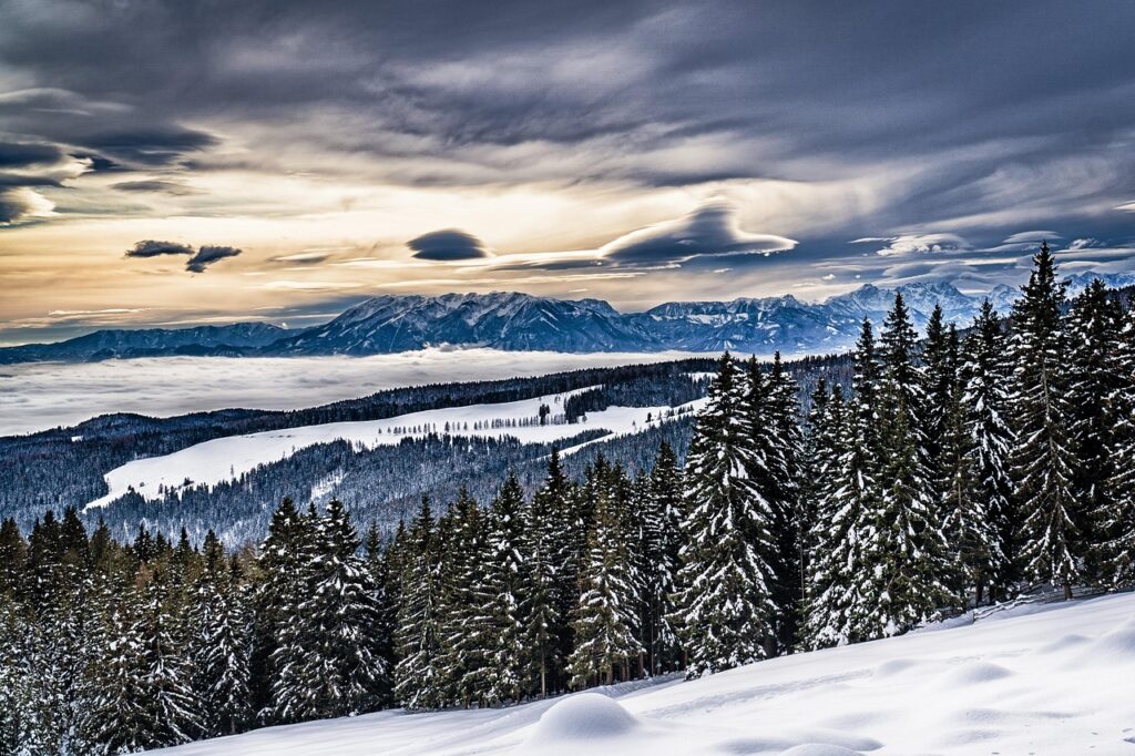 内容証明で浮気を訴える方法とは？