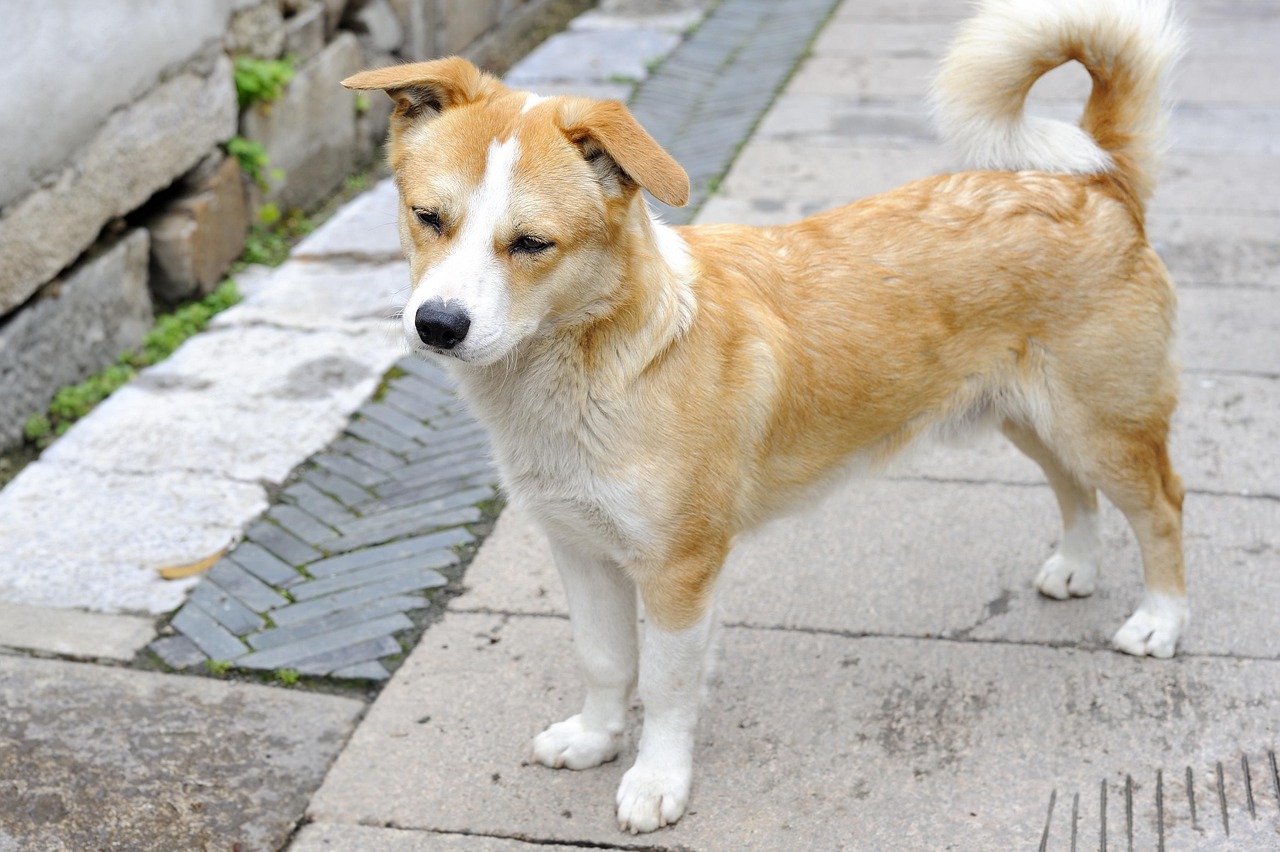 浮気相手について友人に聞き方はどうすればいい？