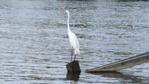 不貞行為の証拠はどこまで必要なのか？