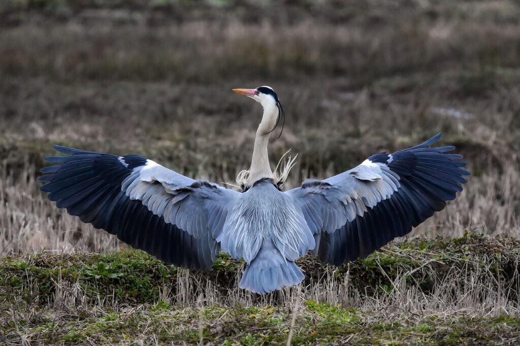 婚姻破綻で不倫の慰謝料が取れない理由とは？
