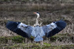 婚姻破綻で不倫の慰謝料が取れない理由とは？