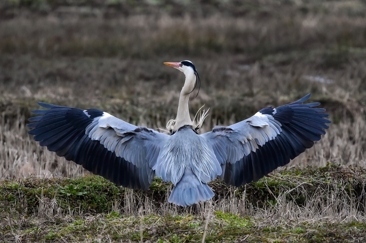 婚姻破綻で不倫の慰謝料が取れない理由とは？