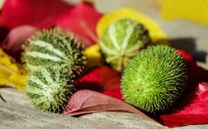 証拠があるのに裁判に負ける理由とは？