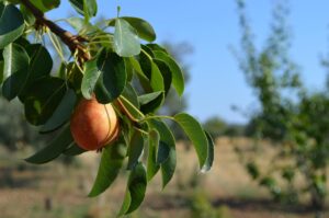 証拠なしでも相手を認めさせる方法は？