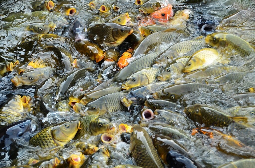 離婚調停で不倫を争う流れとはどのようなものですか？