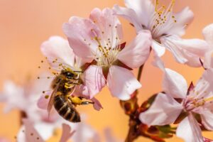 不倫の証拠収集で失敗しないためのポイントは？